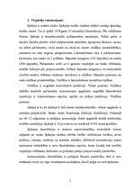 Research Papers 'Spānijas konstitucionālā iekārta', 2.