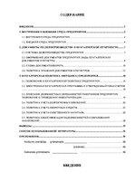 Practice Reports 'Внутренняя и внешняя среда предприятия "Accounting X.O", делопроизводство и бухг', 1.