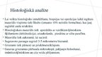 Presentations 'Melanomas biopsija, pataloģija', 7.