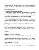 Summaries, Notes 'Romāna “Mērnieku laiki” konspekts pa nodaļām', 4.