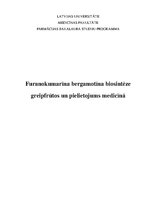 Research Papers 'Furanokumarīna bergamotīna biosintēze greipfrūtos un pielietojums medicīnā', 1.