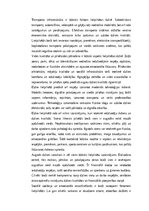 Essays 'Dzīve lielpilsētā: Iespējas, izaicinājumi un sociālā dinamika', 2.