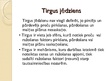 Presentations 'Tirgus jēdziens, formas un tipi', 4.
