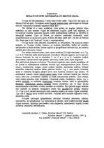 Essays 'Senās Divupes ģeogrāfija un hronoloģija', 1.