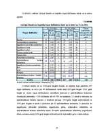 Term Papers 'Rīgas Fondu biržas darbības analīze', 28.