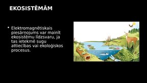 Presentations 'Elektromagnētiskais piesārņojums un tā ietekme uz kokaugiem', 13.