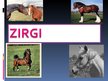 Presentations 'Zirgi', 1.