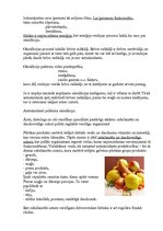 Research Papers 'Antioksidanti un pārtika', 4.