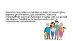 Presentations 'Reproduktīvā sistēma', 2.