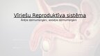 Presentations 'Reproduktīvā sistēma', 16.