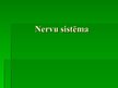 Presentations 'Nervu sistēma', 1.