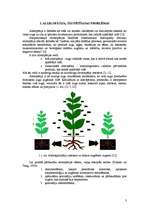 Research Papers 'Allelopātija - svarīgs augu attīstību ietekmējošs mehānisms', 3.