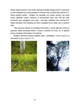 Research Papers 'Baldones meža biotopi - pirmatnējās dabas daudzveidība un nozīme', 26.