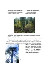 Research Papers 'Baldones meža biotopi - pirmatnējās dabas daudzveidība un nozīme', 27.