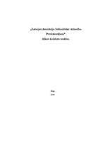 Essays 'Latvijas Asociācijas Sabiedrisko attiecību profesionāļu ētikas kodeksa analīze', 1.