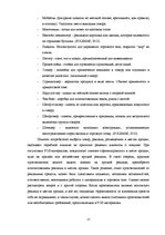Term Papers 'Использование различных видов POS-материалов в гипермаркетах "Rimi"', 27.