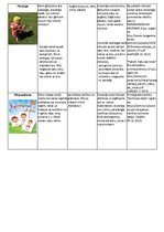 Summaries, Notes 'Integrētās rotaļnodarbības plāns, apraksts - sociālā un pilsoniskā mācību joma', 3.