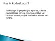Presentations 'Kodoskopi', 2.
