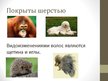 Presentations 'Общая характеристика млекопитающих', 6.