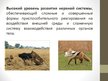 Presentations 'Общая характеристика млекопитающих', 7.