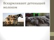 Presentations 'Общая характеристика млекопитающих', 10.