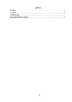 Essays 'Kas ir SEM?', 3.