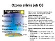 Presentations 'Ozona slānis', 2.