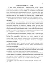 Research Papers 'Senās Romas galvenie attīstības periodi', 11.
