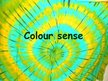 Presentations 'Colour Sense', 1.