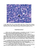 Research Papers 'Sīkšūnu plaušu vēzis', 8.