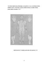 Research Papers 'Refleksoloģija un tās ietekme uz cilvēka organismu', 14.