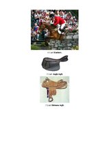 Research Papers 'Zirgu un jāšanas sporta nozīmīgums 21.gadsimtā', 14.