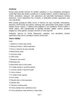 Business Plans 'Īstermiņa īres dzīvokļu uzkopšanas un viesu apkalpošanas pakalpojuma biznesa plā', 2.