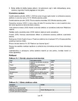 Business Plans 'Īstermiņa īres dzīvokļu uzkopšanas un viesu apkalpošanas pakalpojuma biznesa plā', 18.