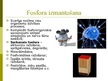 Presentations 'Fosfors, tā fizikālās īpašības un izmantošana', 8.