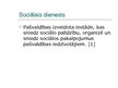 Presentations 'Sociālā palīdzība un sociālie pakalpojumi no ieslodzījuma atbrīvotajiem', 21.