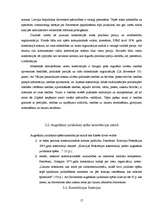 Term Papers 'Konstitūcijas saturs un forma', 17.