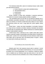 Term Papers 'Konstitūcijas saturs un forma', 18.