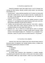 Term Papers 'Konstitūcijas saturs un forma', 29.