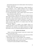 Term Papers 'Darbaspēka migrācijas ietekme uz Latvijas tautsaimniecību', 20.