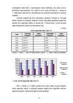 Term Papers 'Valsts akciju sabiedrības "Latvijas dzelzceļš" darbības analīze 2003.–2007.gadā', 13.