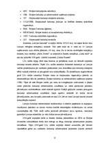 Term Papers 'Valsts akciju sabiedrības "Latvijas dzelzceļš" darbības analīze 2003.–2007.gadā', 15.