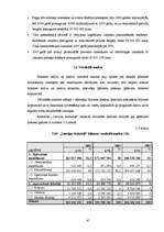 Term Papers 'Valsts akciju sabiedrības "Latvijas dzelzceļš" darbības analīze 2003.–2007.gadā', 47.