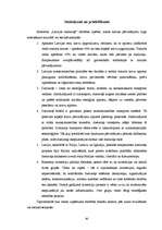 Term Papers 'Valsts akciju sabiedrības "Latvijas dzelzceļš" darbības analīze 2003.–2007.gadā', 60.