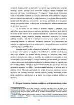 Term Papers 'AIZLIEGTA VIENOŠANĀS PUBLISKAJOS IEPIRKUMOS', 11.