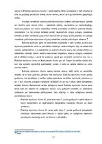 Term Papers 'AIZLIEGTA VIENOŠANĀS PUBLISKAJOS IEPIRKUMOS', 17.