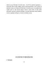 Term Papers 'AIZLIEGTA VIENOŠANĀS PUBLISKAJOS IEPIRKUMOS', 58.