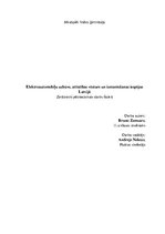 Research Papers 'Elektroautomobiļu uzbūve, attīstības vēsture un izmantošanas iespējas Latvijā', 1.