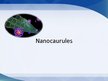 Presentations 'Nanocaurules', 1.