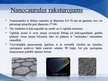Presentations 'Nanocaurules', 3.